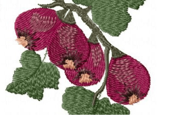 Figs Embroidery Design Review for Craft Fair Success