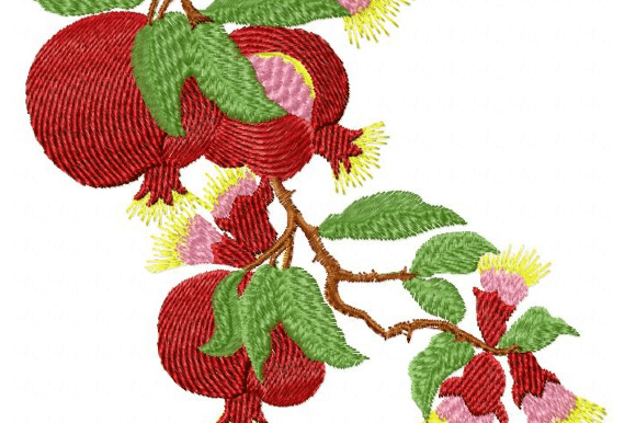 Pomegranate Fruits: A Designer’s Review for Real Stitching